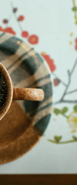 Japan in der Schweiz